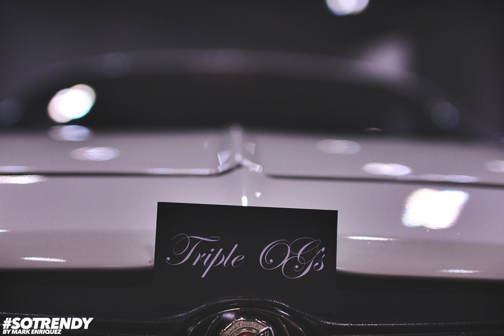 Springfest_072_Mark_Sotrendy