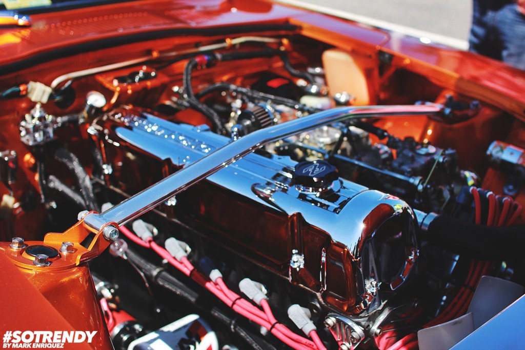 Springfest_084_Mark_Sotrendy