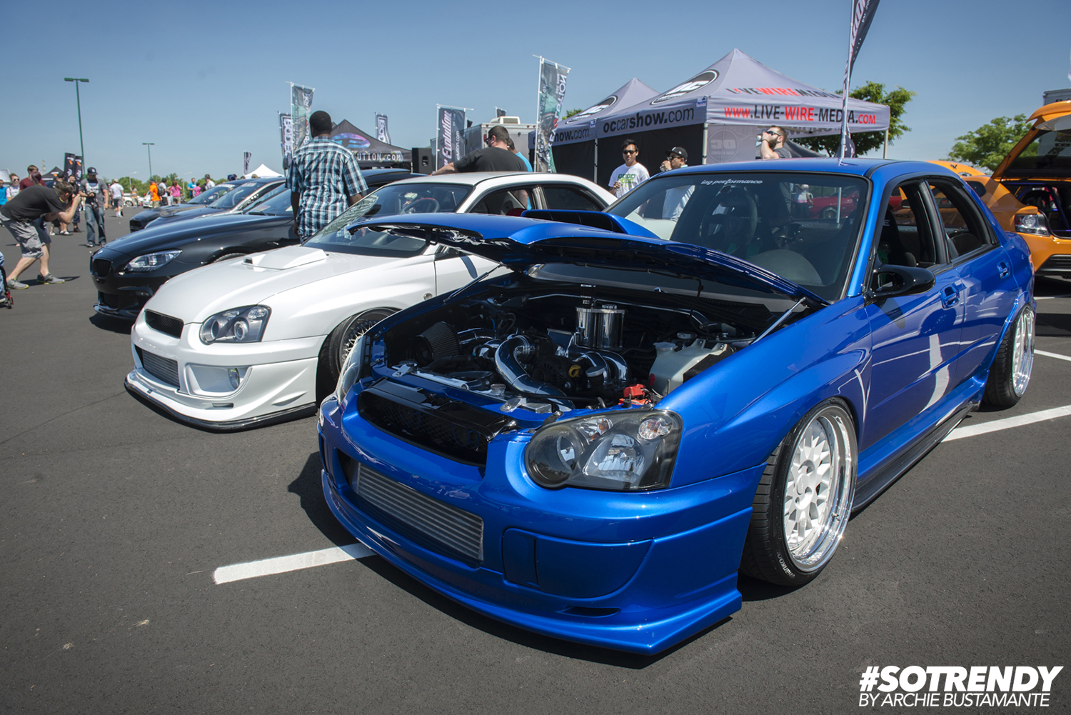 Panda Junction by Archie Bustamante - SotrendyMedia02