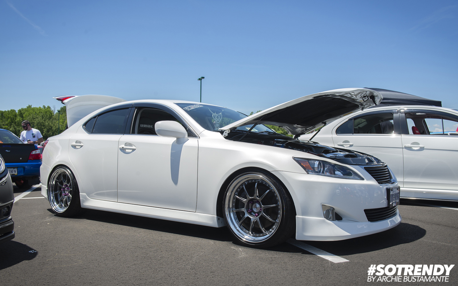 Panda Junction by Archie Bustamante - SotrendyMedia16